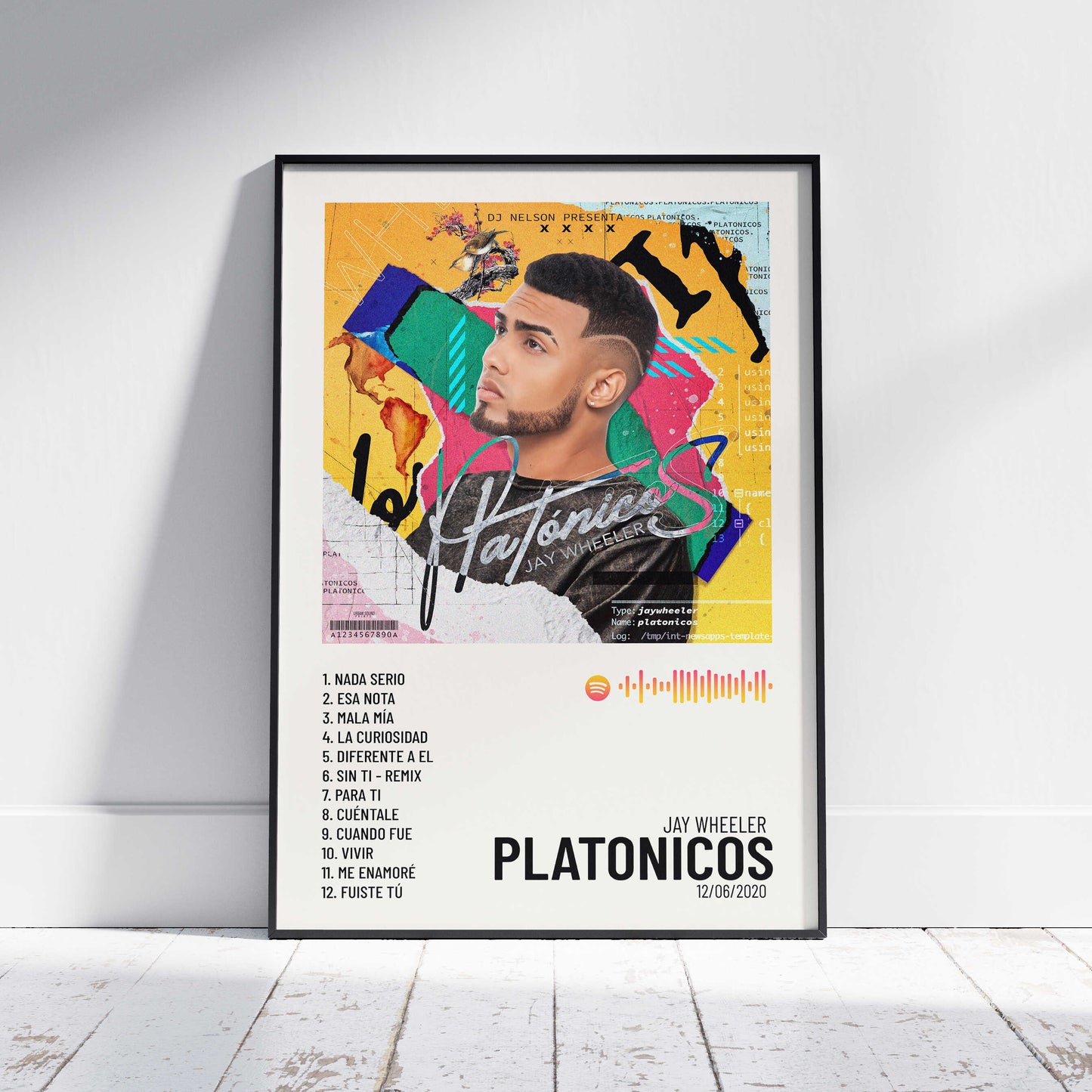 Platonicos