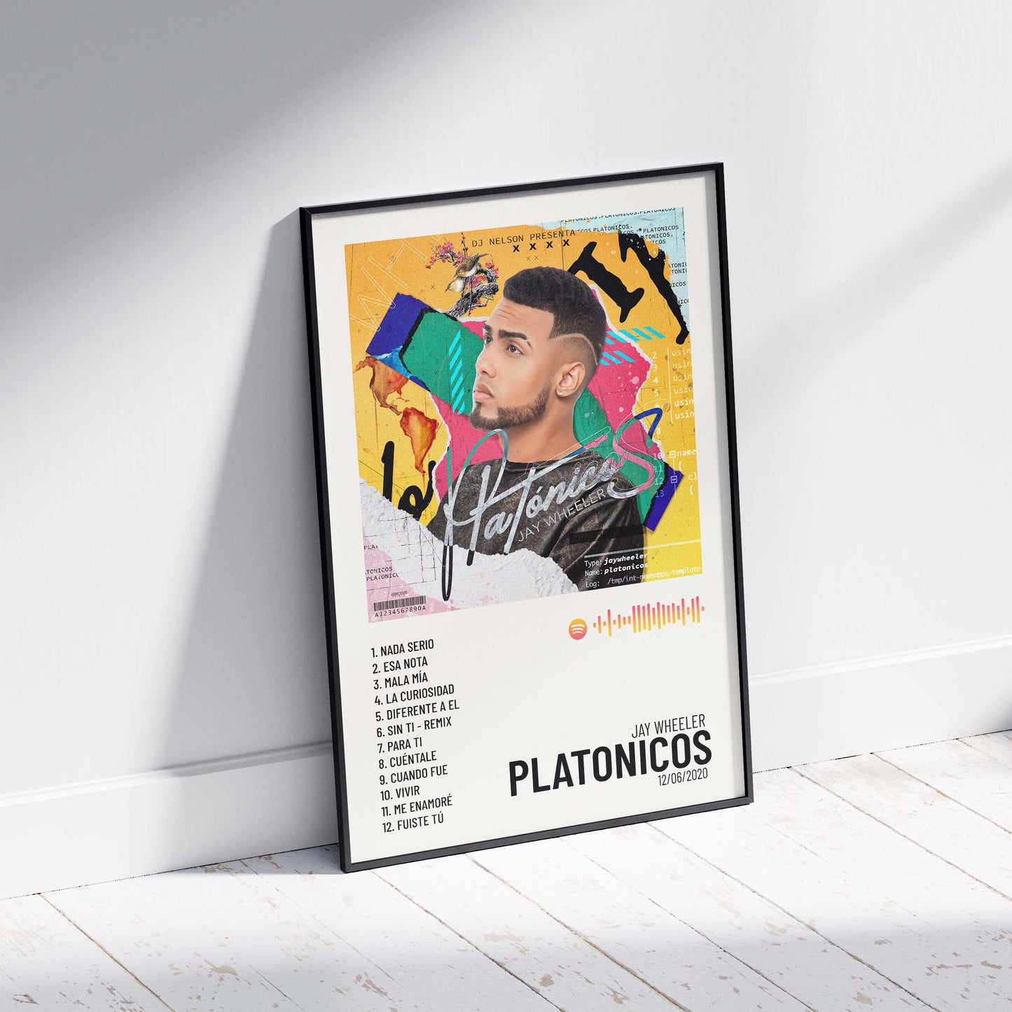 Platonicos
