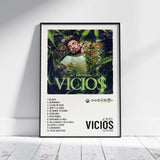 Vicios