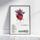 Cicatrices