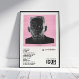 IGOR