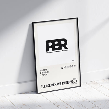 Please Behave Radio Vol.1