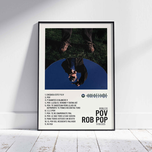 POV ROB POP