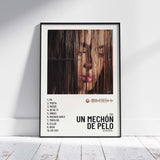 un mechón de pelo